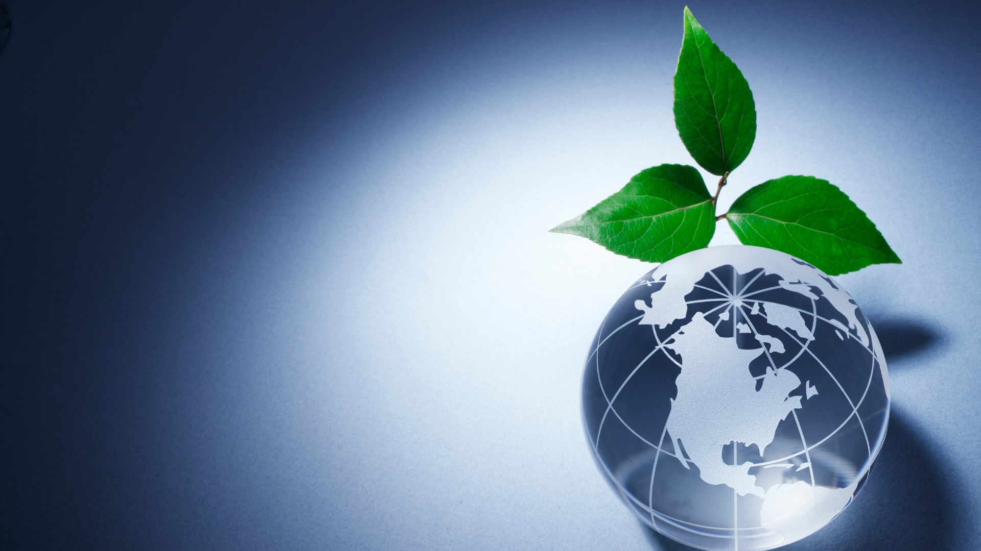 Eco-logic