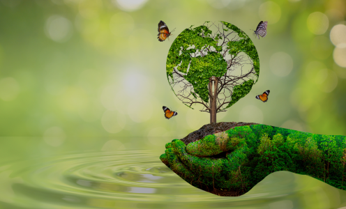 CONSULTORÍA AMBIENTAL
