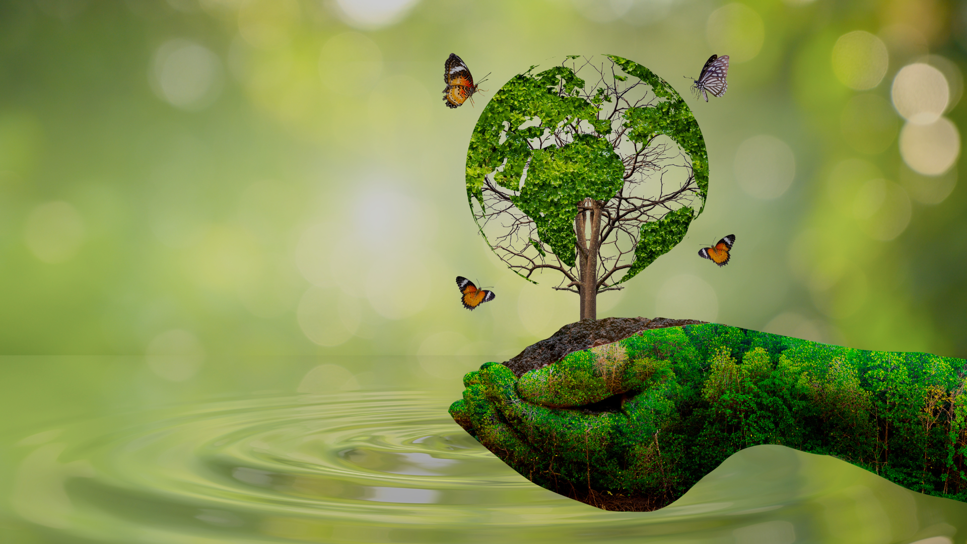 Eco-logic